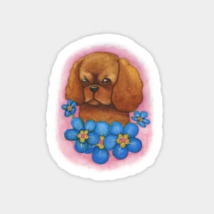 Cavalier King Charles Spaniel - Ruby with Blue Flowers Sticker